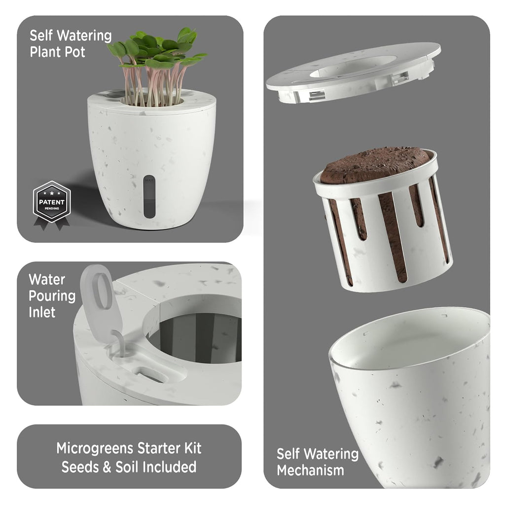 Desk Organizer with Self-Watering Plant Pot & Phone Holder, White
