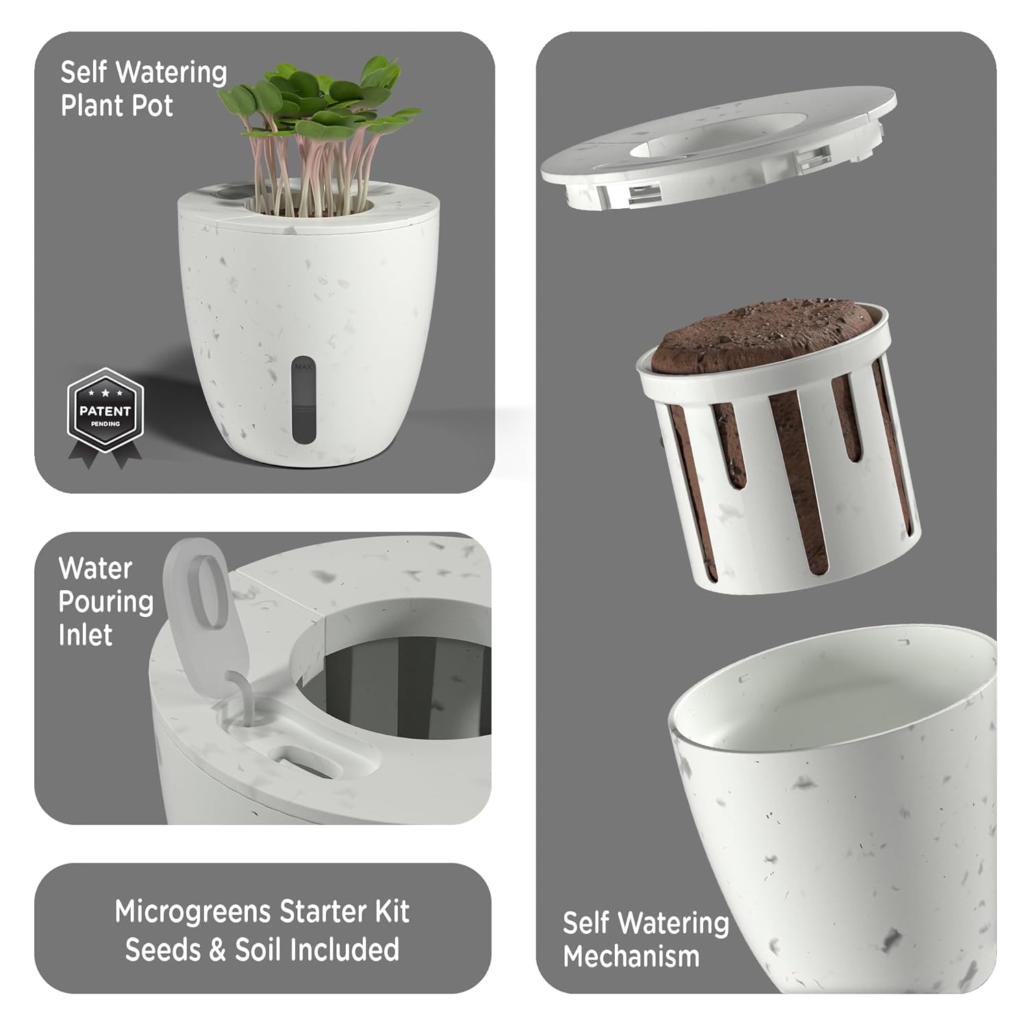 Desk Organizer with Self-Watering Plant Pot & Phone Holder, White